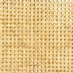 Fourhands Best Sellers Antonia Cane Armless Desk Chair