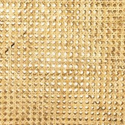 Fourhands Best Sellers Antonia Cane Armless Desk Chair