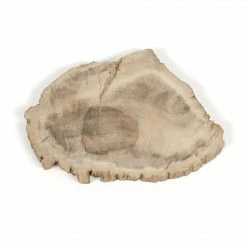 Fourhands Petrified Wood Slab Best Sellers
