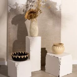 Accent Decor HOME DECOR Alaya Collection Bowl