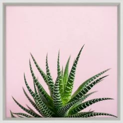 WENDOVER Aloe Wall Art