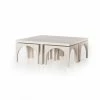 Fourhands Amara Nesting Coffee Table Best Of Living Room