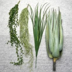 GOLD LEAF ART GROUP HOME DECOR Angel Vine