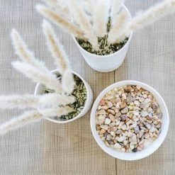 Global Views Best Sellers Aries Bowl