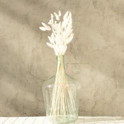Yunnan Dianfeng Flower Technology Co. Ltd Featured Collections Bleached Bunny Tail