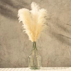 Yunnan Dianfeng Flower Technology Co. Ltd Bleached Pampas Grass, Set Of 3 HOME DECOR