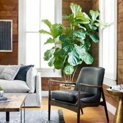 Fourhands Braden Chair