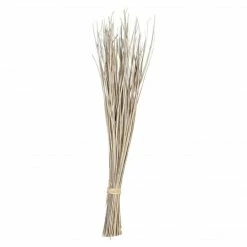 CREATIVE CO OP Bunch Of Dried Palm Leaf