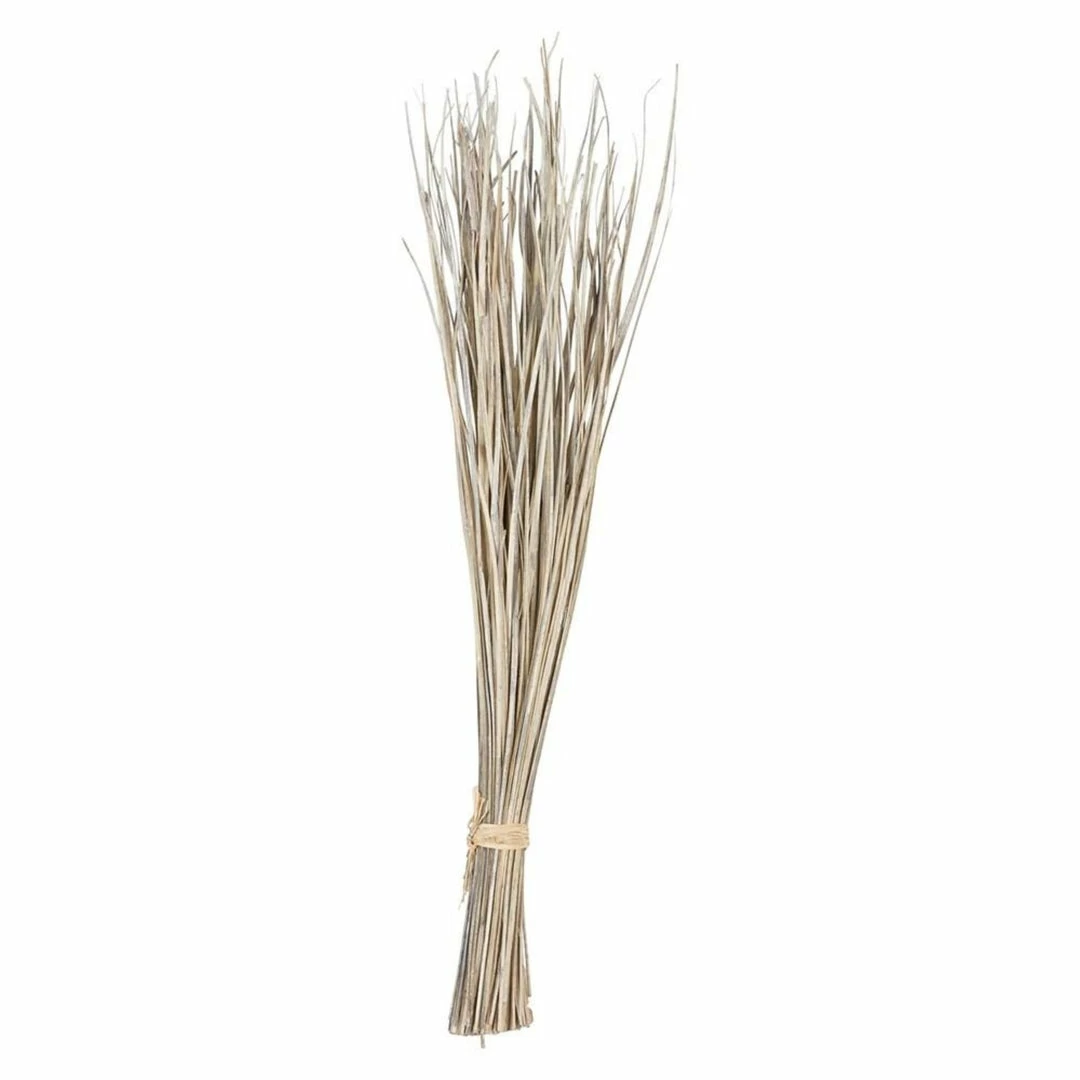 CREATIVE CO OP Bunch Of Dried Palm Leaf