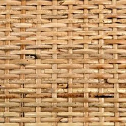 Noir Best Sellers Bundy Relax Chair