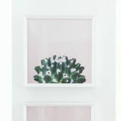 WENDOVER Cacti Wall Art Best Sellers