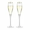 True Brands Calabasas Champagne Flute New Kitchen