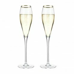 True Brands Calabasas Champagne Flute New Kitchen
