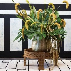 Accent Decor HOME DECOR Delany Pot