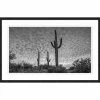 WENDOVER Desert Landscape Best Sellers