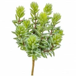 GOLD LEAF ART GROUP Faux Album Succulent