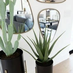CREATIVE CO OP Faux Aloe With Pot Best Of Home Decor