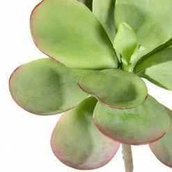 GOLD LEAF ART GROUP Faux Dusty Paddle Succulent