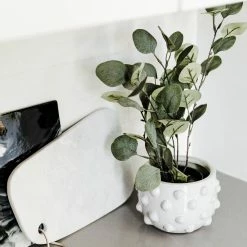 BIDK HOME Faux Money Leaf Plant Best Sellers