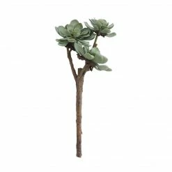 CREATIVE CO OP Faux Succulent Branch Best Sellers