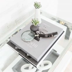 CREATIVE CO OP Faux Succulent Branch Best Sellers