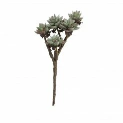 CREATIVE CO OP Faux Succulent Branch Best Sellers