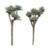 CREATIVE CO OP Faux Succulent Branch Best Sellers