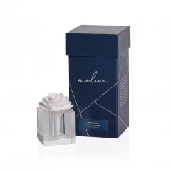 ZODAX Flora Diffuser