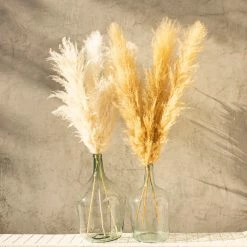 Yunnan Dianfeng Flower Technology Co. Ltd Golden Pampas Grass