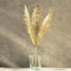 Yunnan Dianfeng Flower Technology Co. Ltd Greige Pampas Grass, Set Of 3 Best Sellers