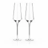 True Brands Jolie Champagne Flutes New Kitchen