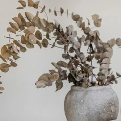 BIDK HOME Luna Pot Best Sellers