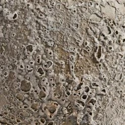 BIDK HOME Luna Pot Best Sellers