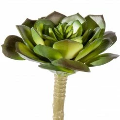 GOLD LEAF ART GROUP Mini Echeveria Succulent