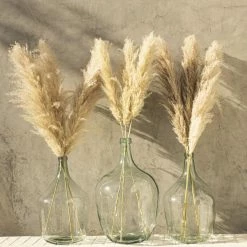 Yunnan Dianfeng Flower Technology Co. Ltd Natural Luxe Pampas Grass