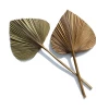 Yunnan Dianfeng Flower Technology Co. Ltd Natural Palm Spears Featured Collections