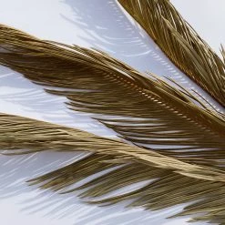 Yunnan Dianfeng Flower Technology Co. Ltd Olive Palm Leaf, Set Of 3