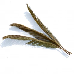 Yunnan Dianfeng Flower Technology Co. Ltd Olive Palm Leaf, Set Of 3