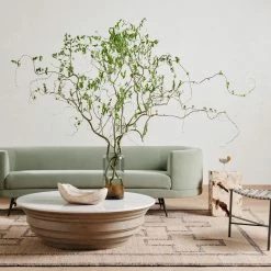 Fourhands Oval Petrified Wood Bowl