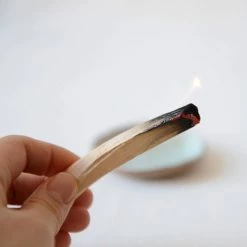 FAIRE Best Sellers Palo Santo Sticks From Ecuador