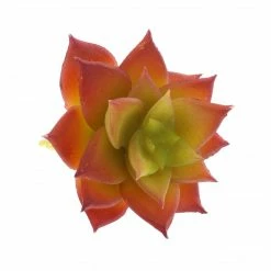 HomArt Paprika Faux Succulents