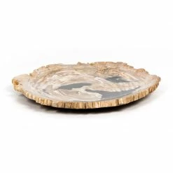 Fourhands Petrified Wood Dish