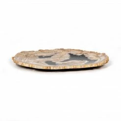 Fourhands Petrified Wood Dish