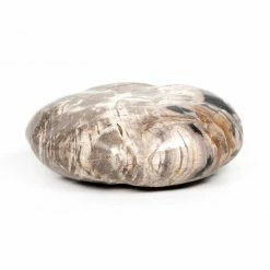 Fourhands Petrified Wood Organic Sculpture Best Sellers