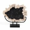Fourhands Best Sellers Petrified Wood Sculpture