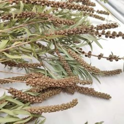 Yunnan Dianfeng Flower Technology Co. Ltd New Home Decor Preserved Buddha Beads