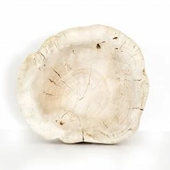 Fourhands Best Sellers Reclaimed Wood Bowl, Ivory
