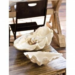 Regina Andrews Seaside Clamshell Best Sellers