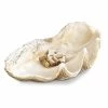 Regina Andrews Seaside Clamshell Best Sellers
