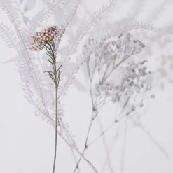 Fourhands Shadow Leaves Iv